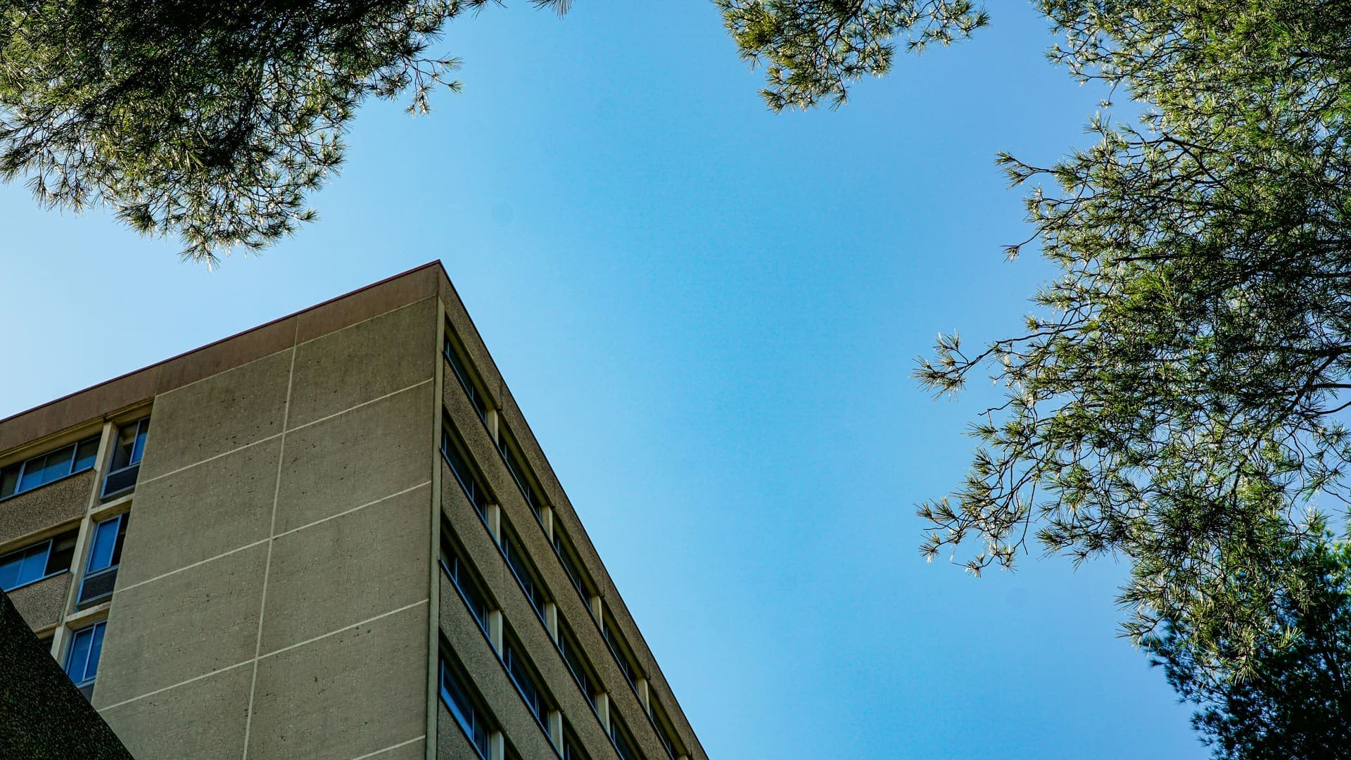 IBSS University
