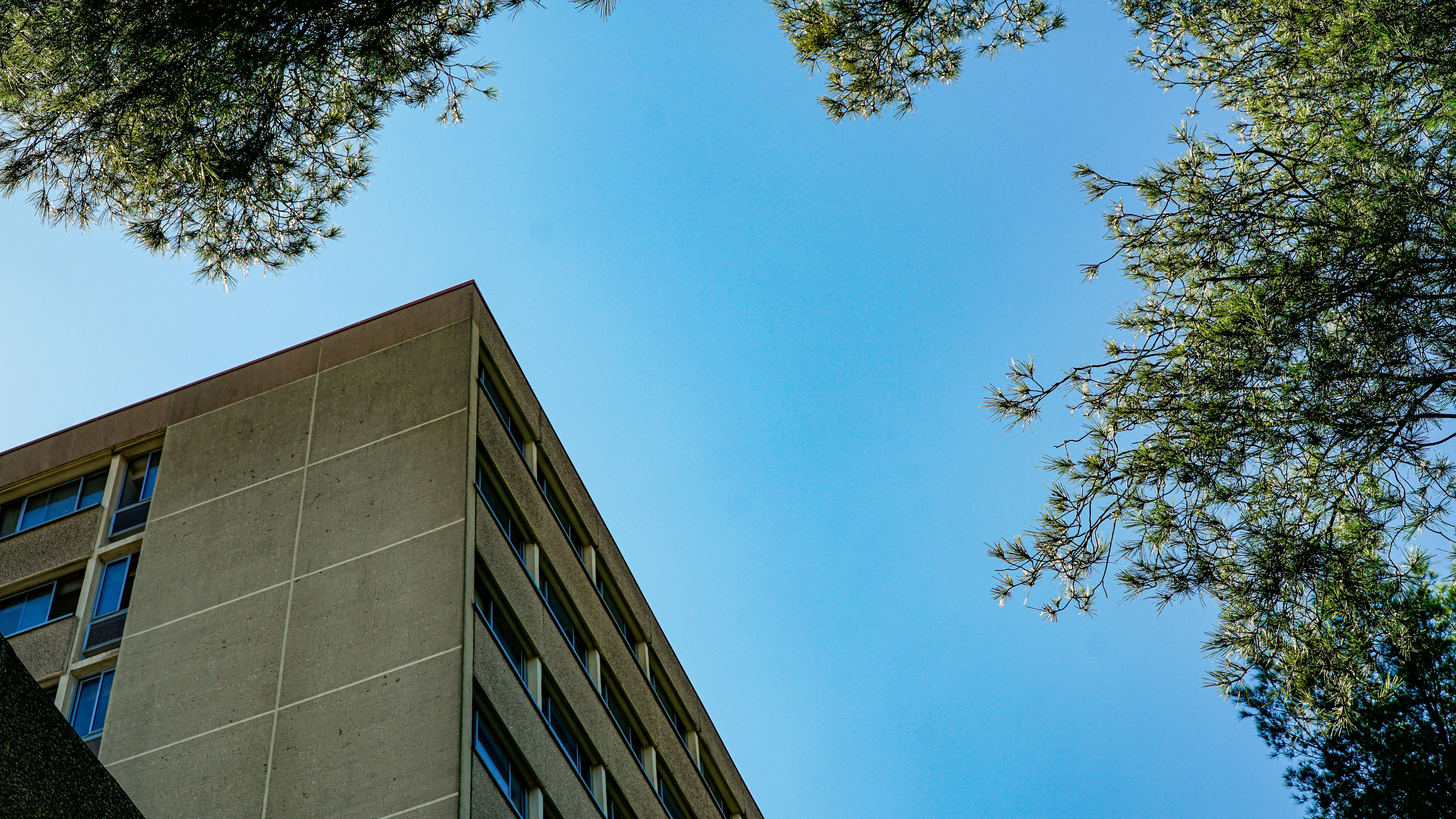 IBSS University